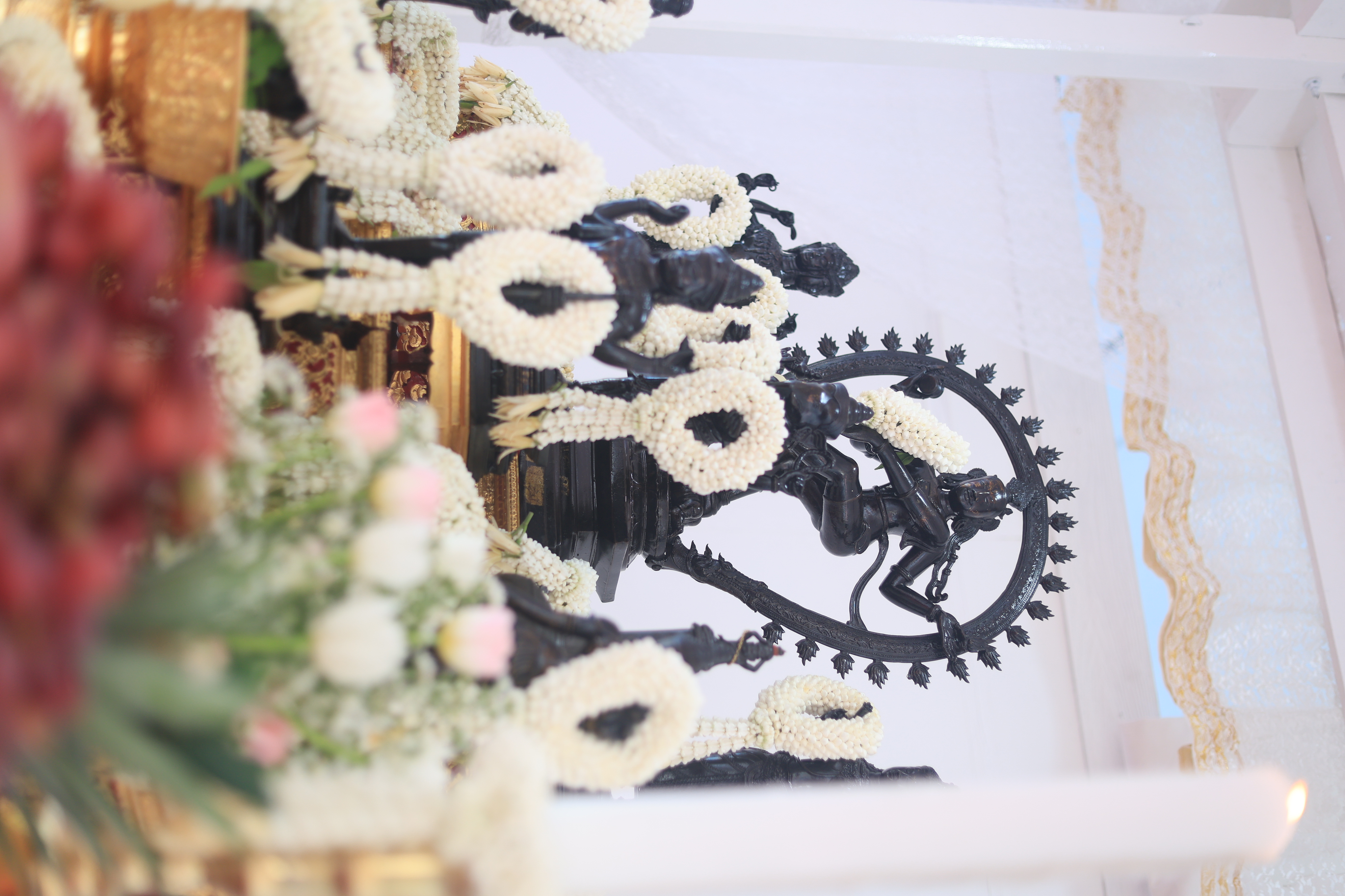 title - ส.ป.ก. ร่วมพระราชพิธีพืชมงคลจรดพระนังคัลแรกนาขวัญ ปีพุทธศักราช 2569